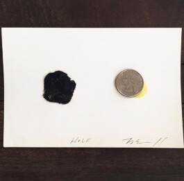 Mary Ellen Carroll concept 