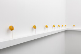 Display of tattooed fruit