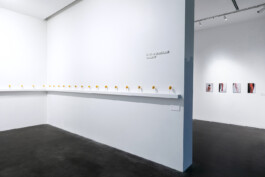 Wall display of tattoo lemons