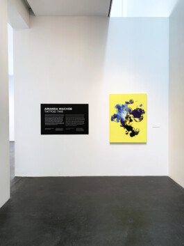 Tattoo This exhibit at MCA Denver