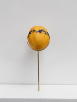 Tattooed lemon with wrapping design 