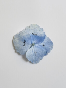 Blue tattooed hydrangea flower 